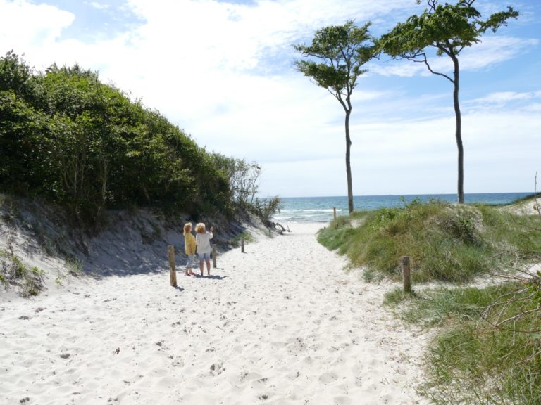 prerow070 Prerow Camping